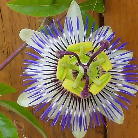 Studio Chez Nathalie & Eric