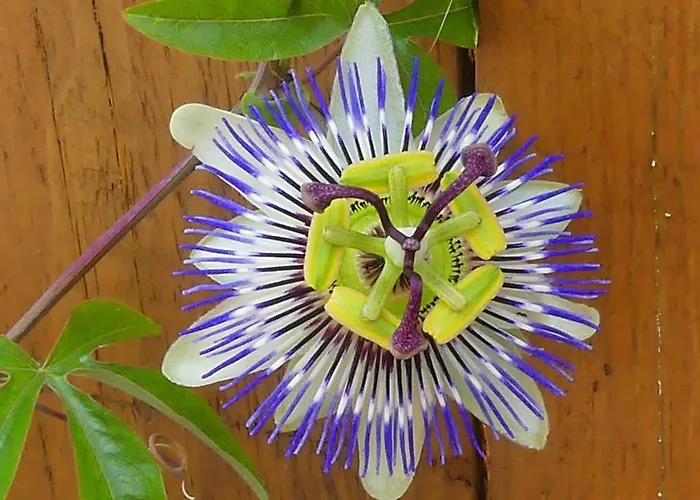 Studio Chez Nathalie & Eric